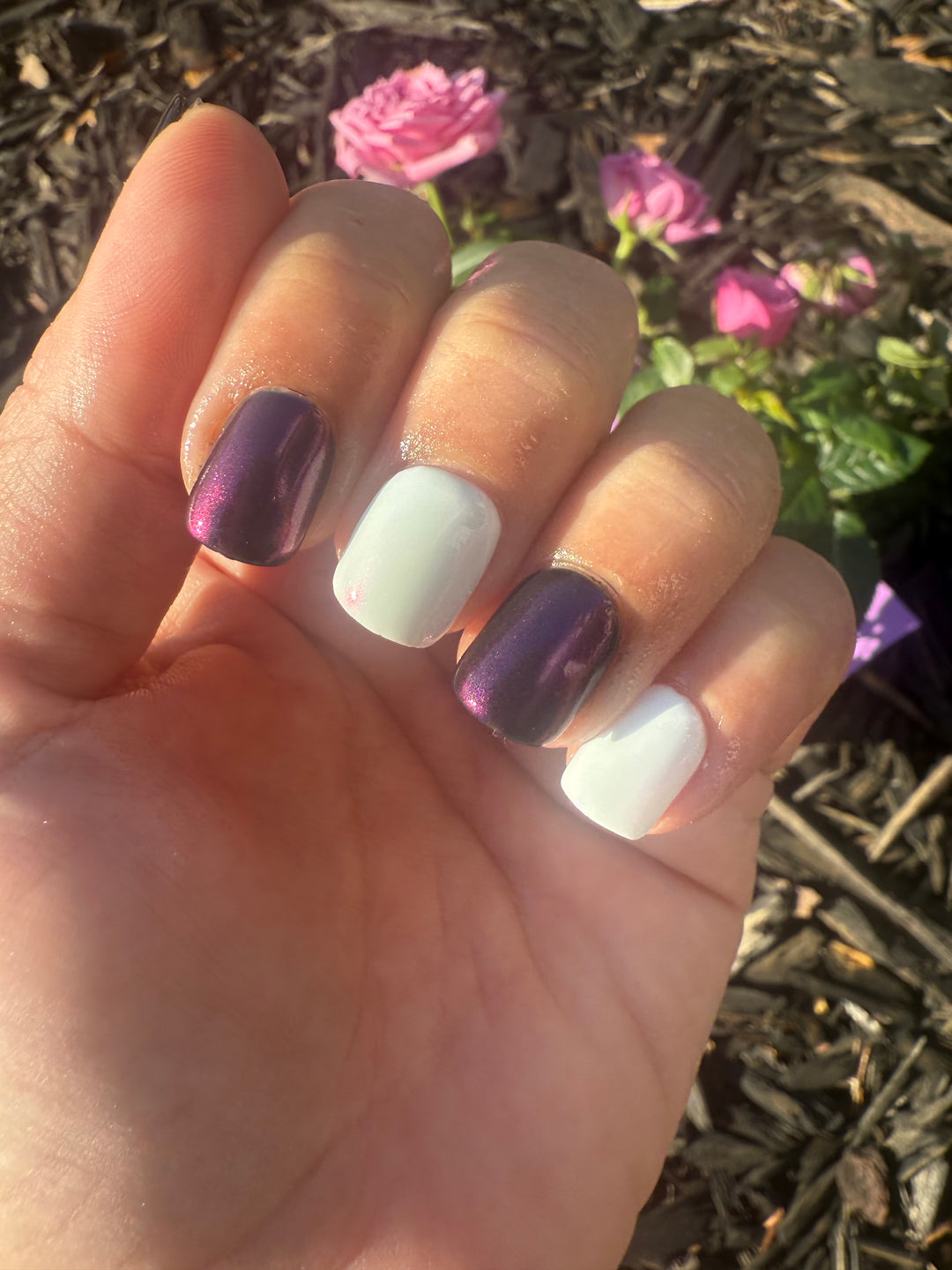 Snow Globe Dreams (Chrome)