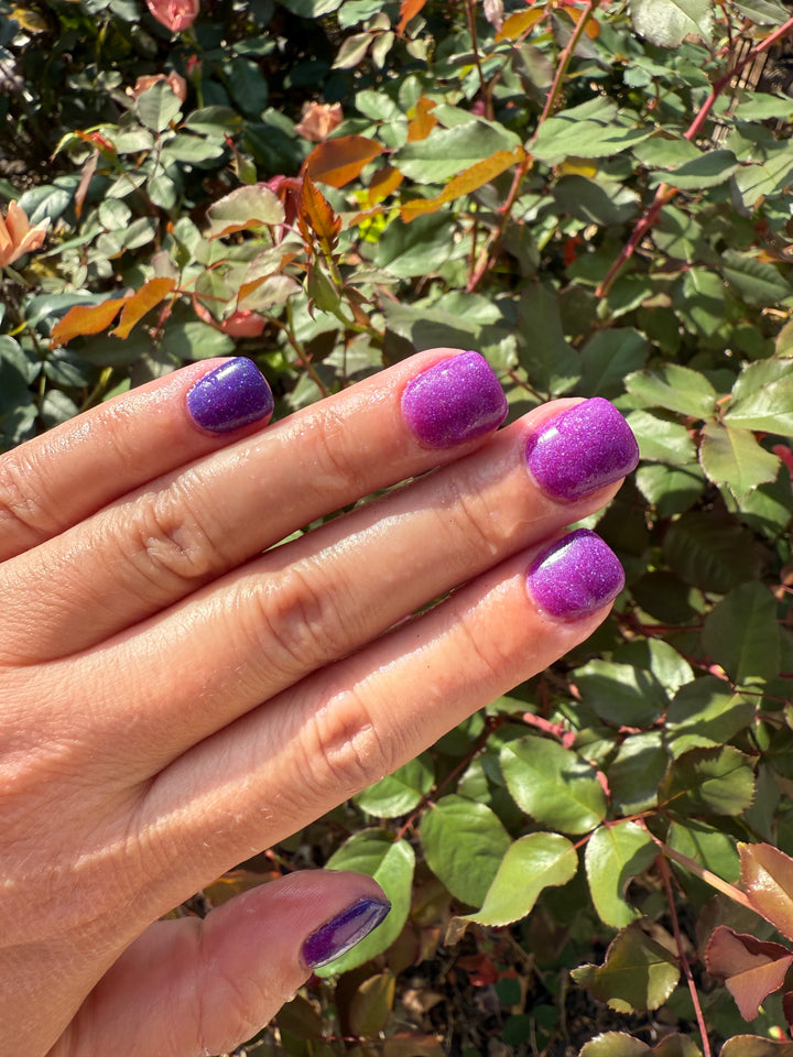 Enchanted Chill (Temp)