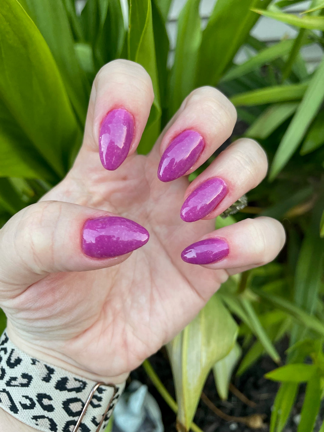 Haunted Happily Ever After