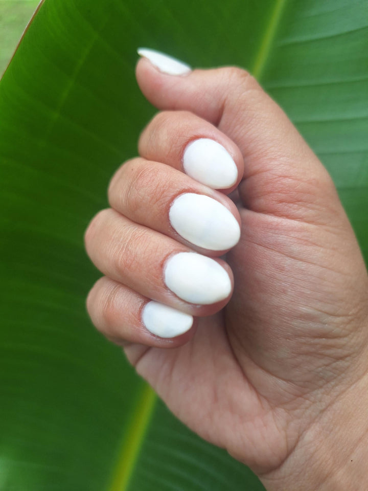 Toad-Ally Cute (Temp)