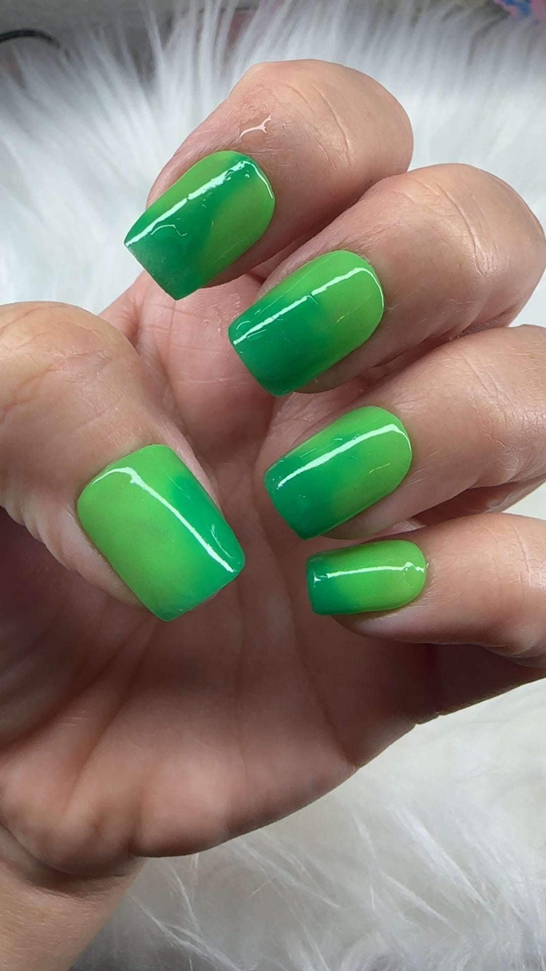 Rein-Dear Diary (Temp)