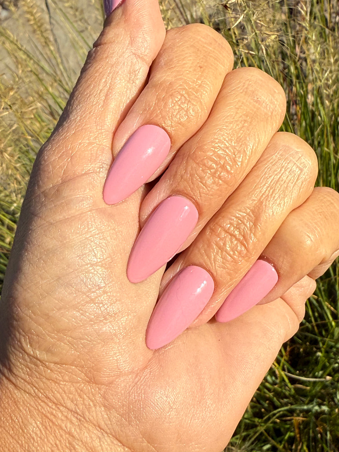 Prune It Up (All-In-One-Gel)