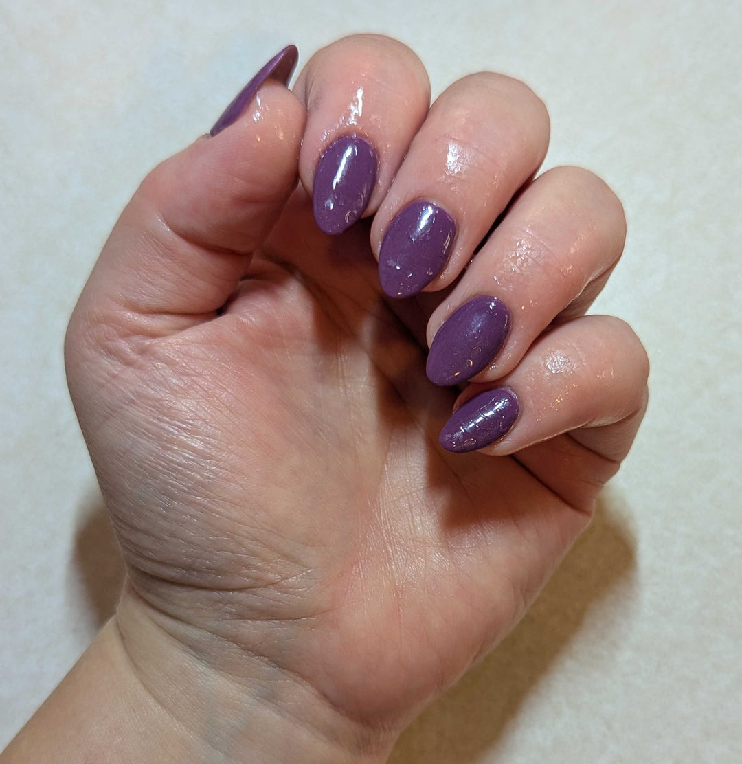 Midnight Snack (Temp)