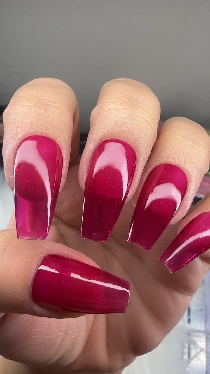 Lollipop Logic (Gummy) (Gel)