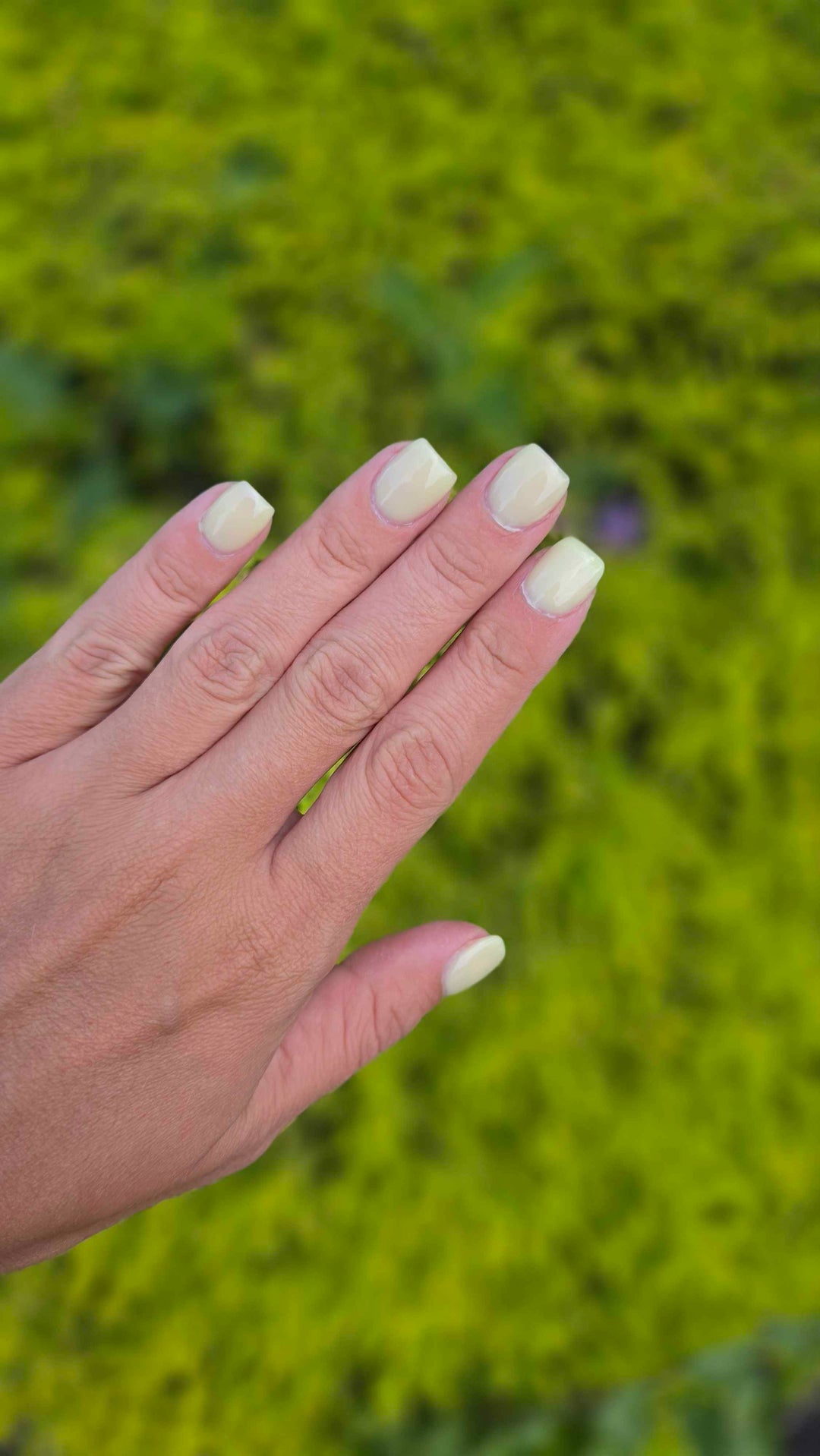 Lemon Drop (Builder Gel)