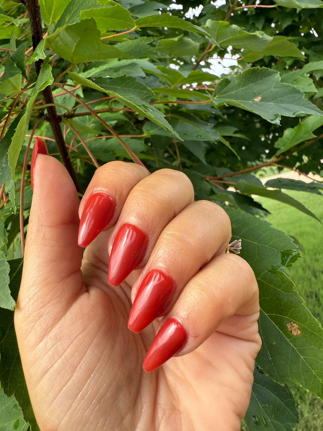 Barely Burnt (Gel)