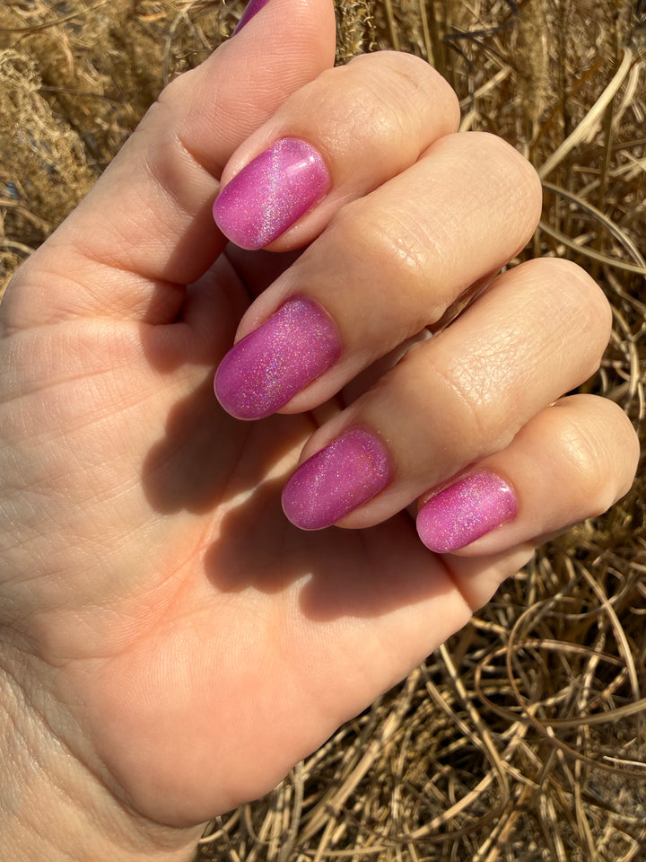 Devil In The Details (Magnetic) (Gel)