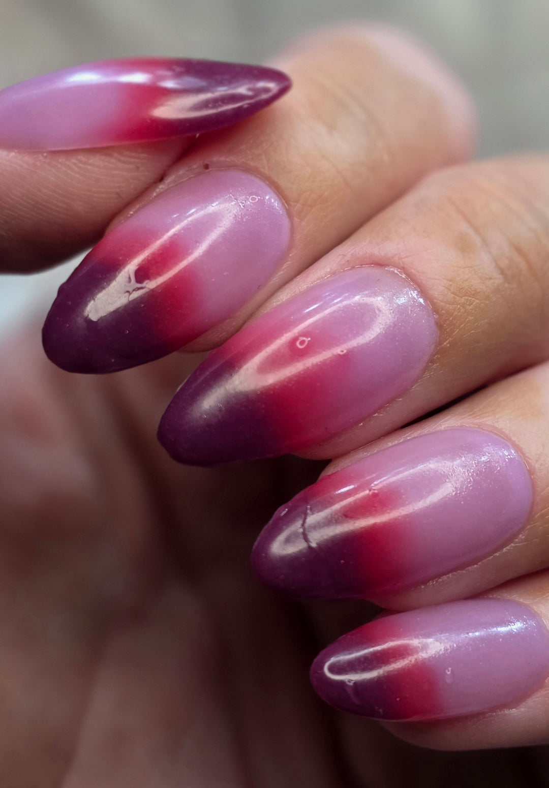 Reindeer Wishes (Temp)