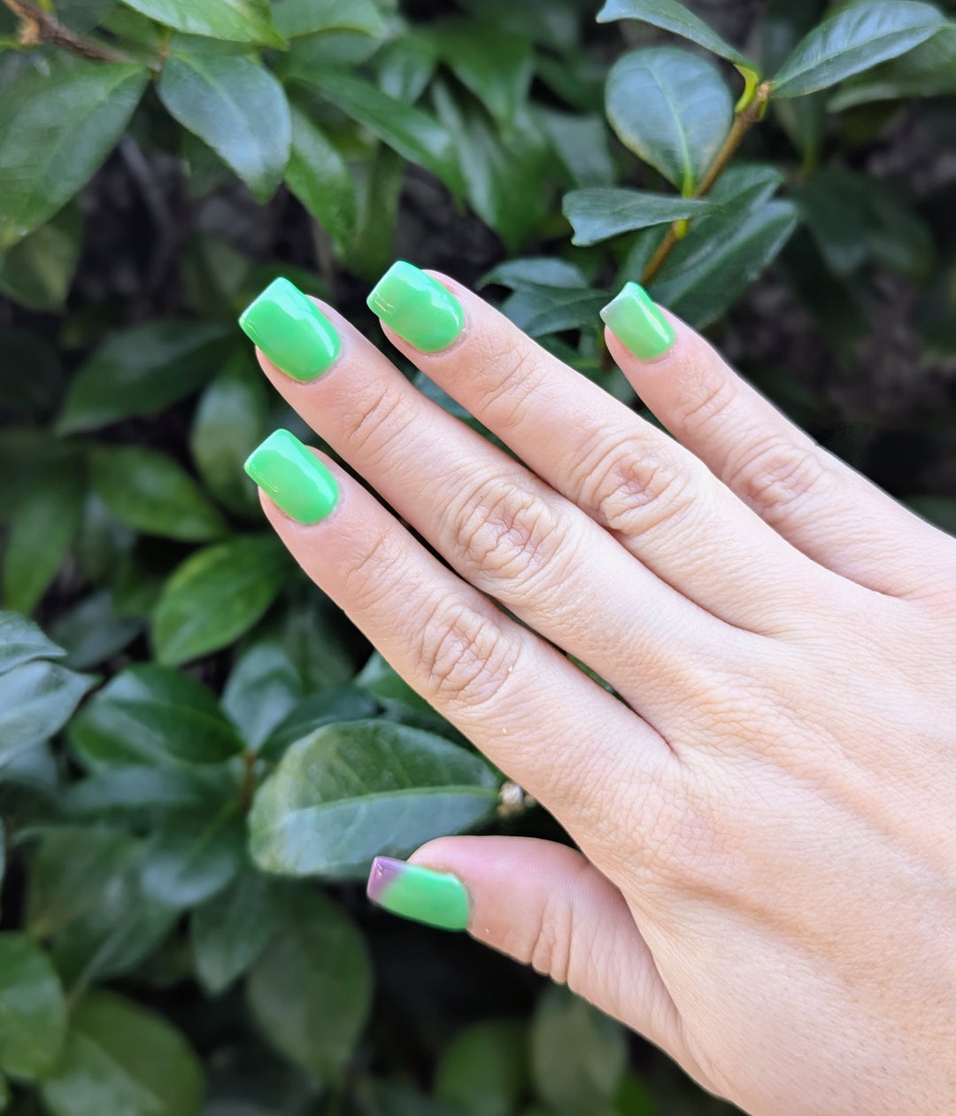 Day 6 - Shifty Little Thing (Gel)