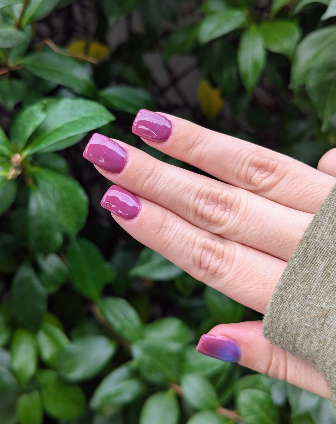 Midnight Snack (Temp)