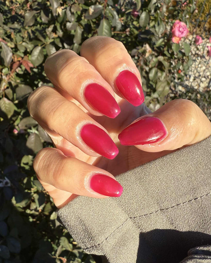 Lollipop Logic (Gummy) (Gel)