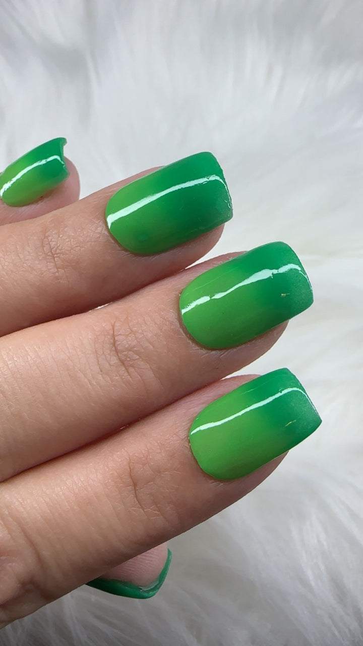 Rein-Dear Diary (Temp)