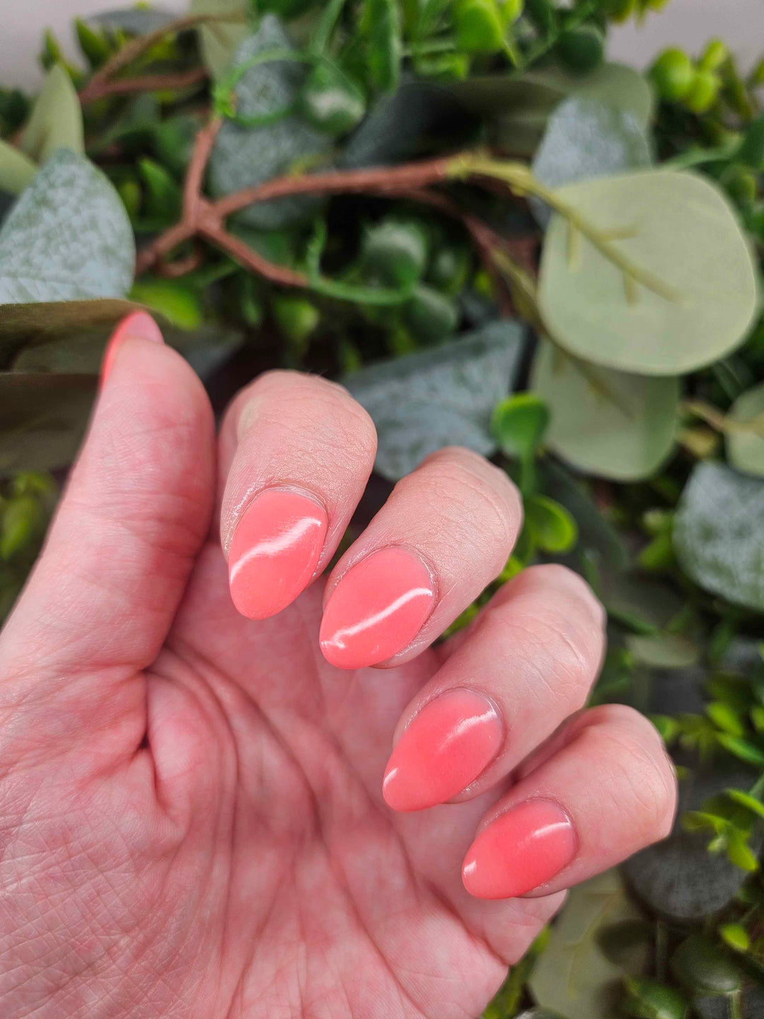 Day 5 - Dual Drama (Sun)