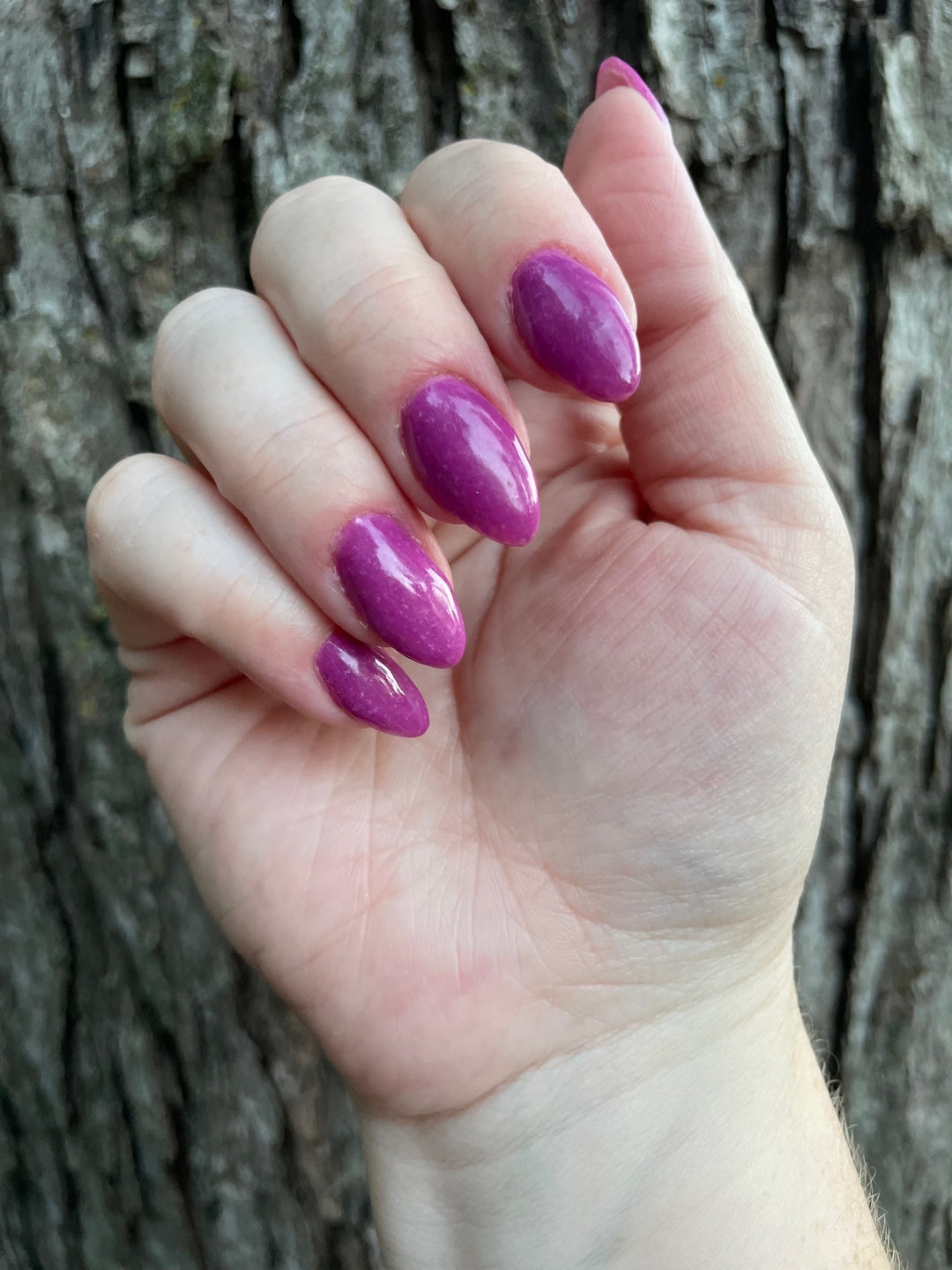 Haunted Happily Ever After