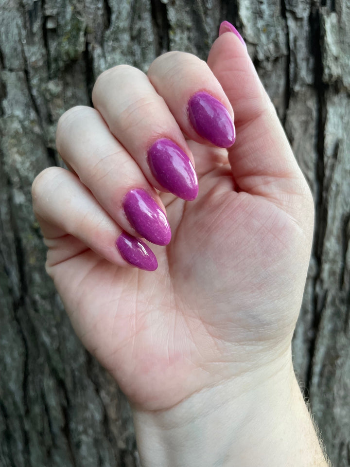 Haunted Happily Ever After