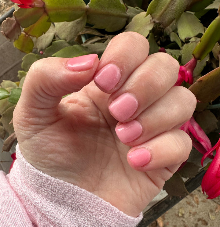 Signed, Sealed, Delivered (Temp)