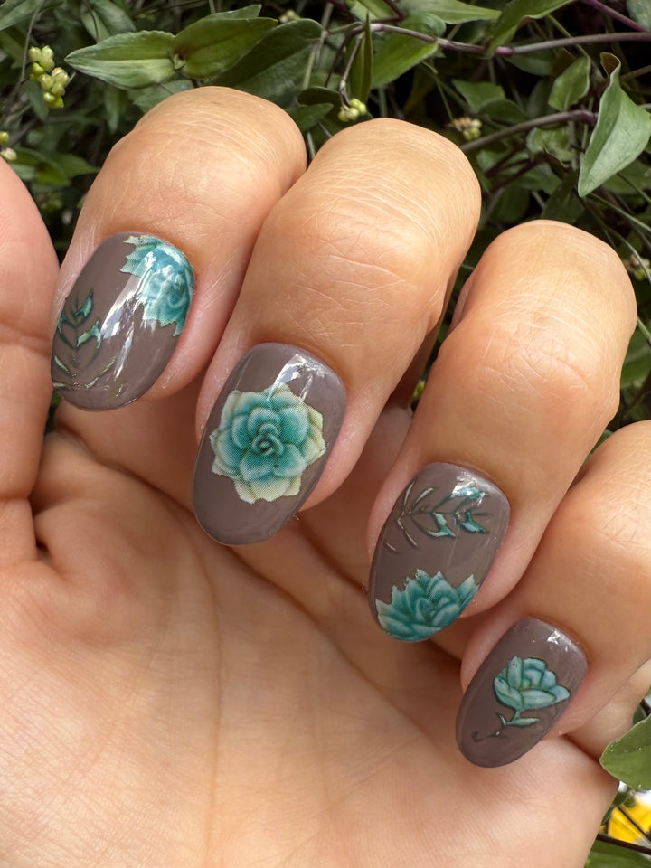 Transfer Foils Phase 3