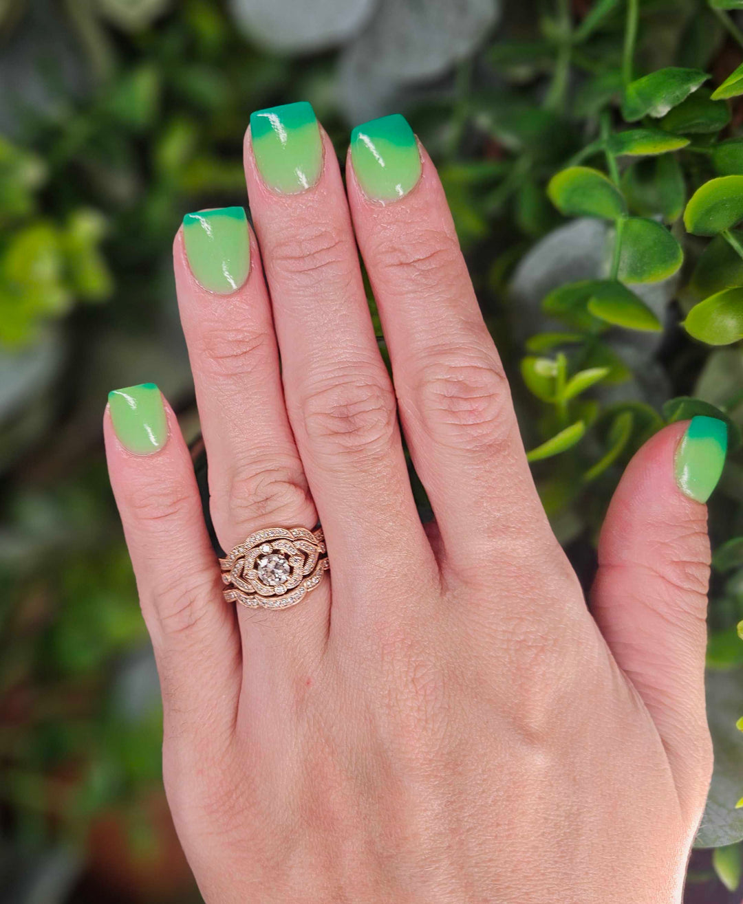 Rein-Dear Diary (Temp)