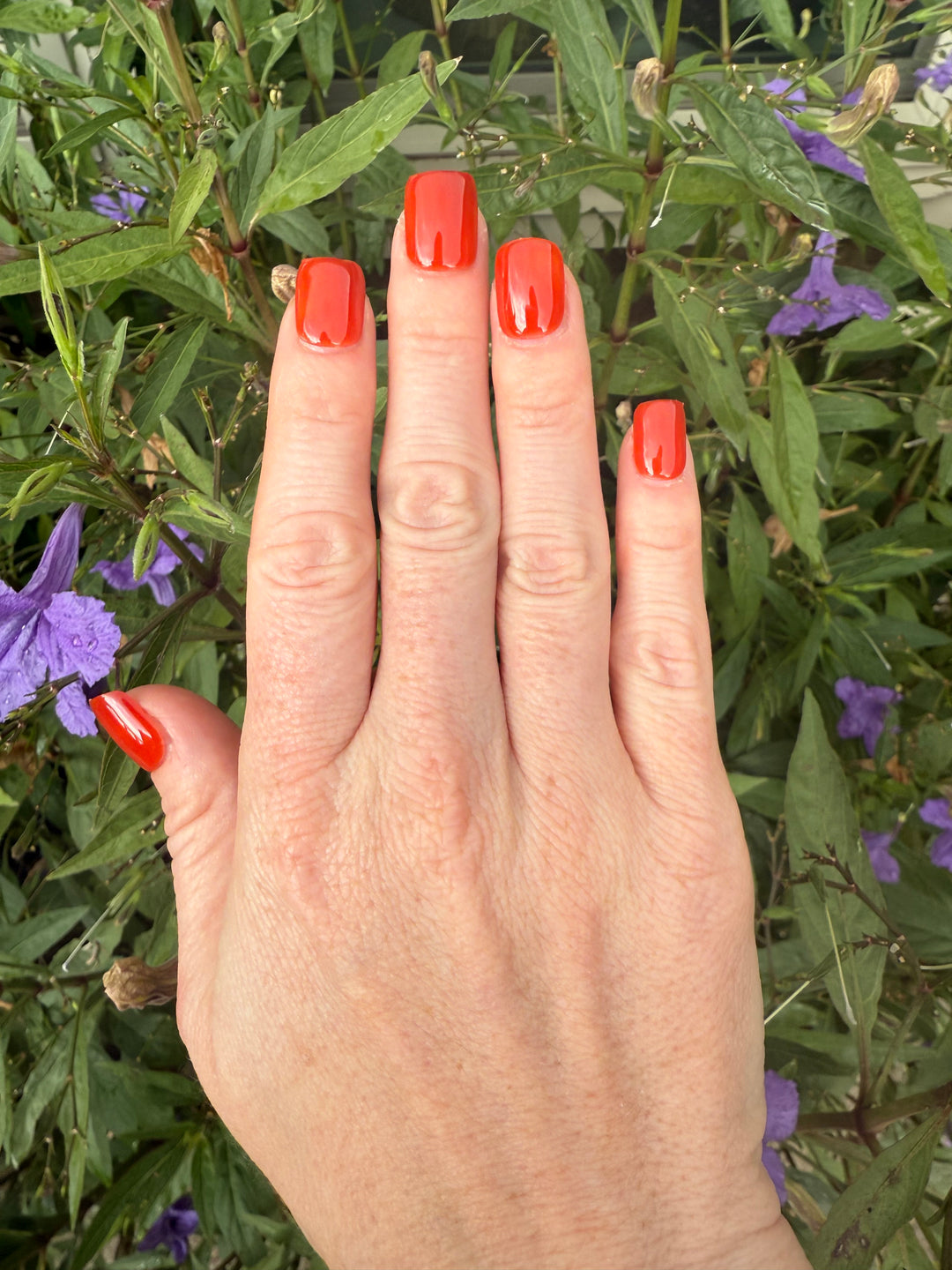 Molton Mood (All-In-One-Gel)