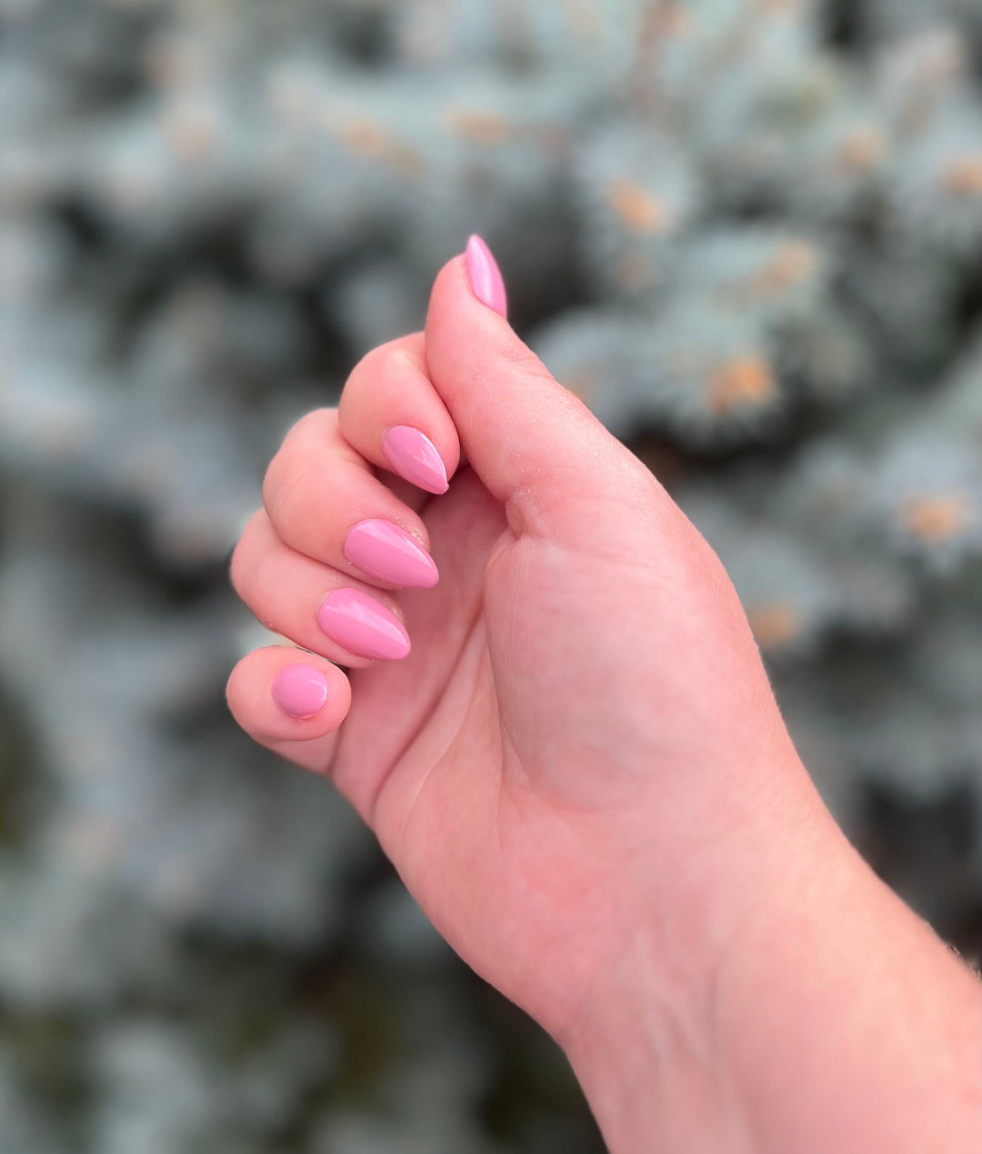 Prune It Up (All-In-One-Gel)