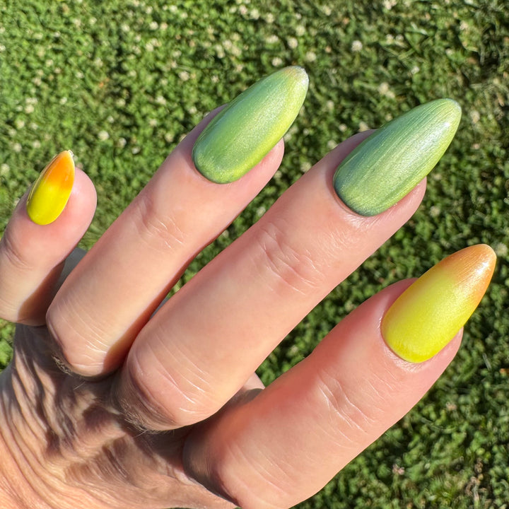 Mango Mousse (Cat Eye Gel / Temp)