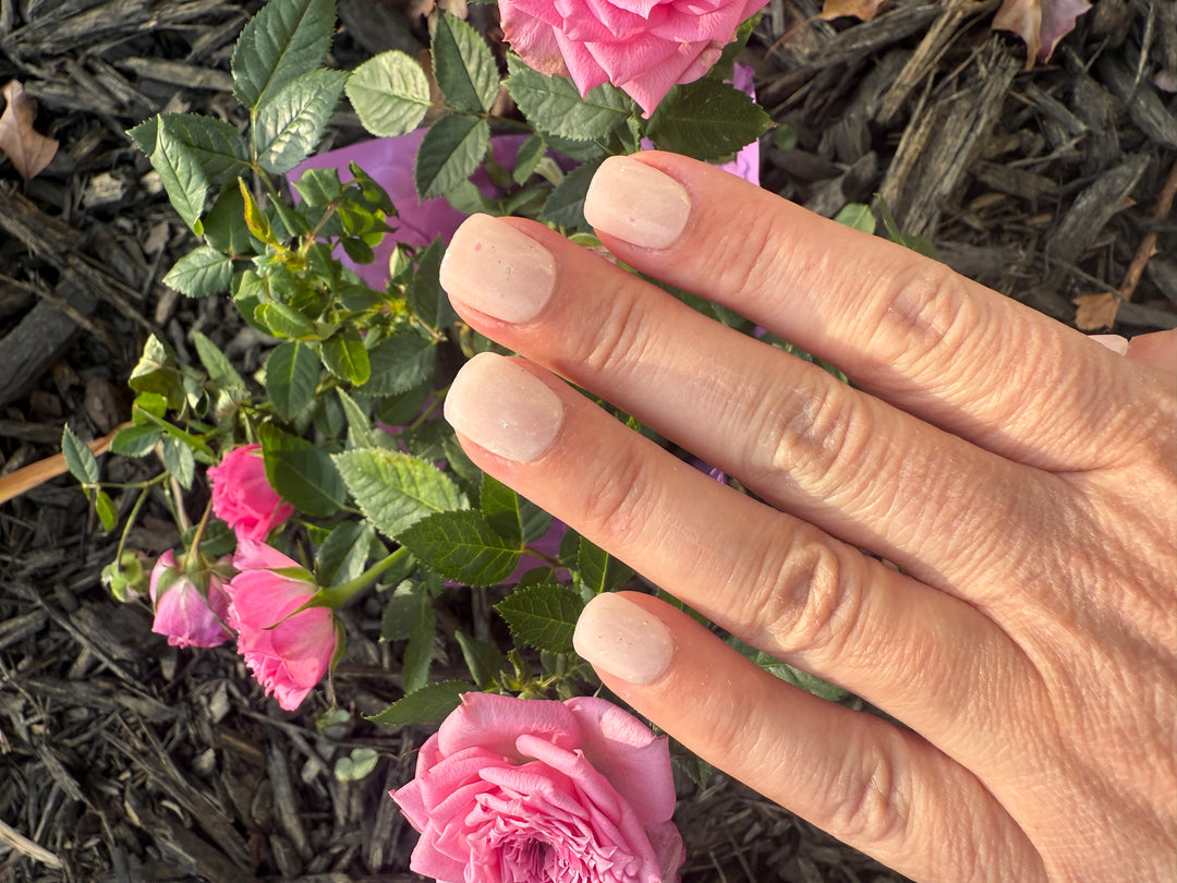 Snow Globe Dreams (Chrome)