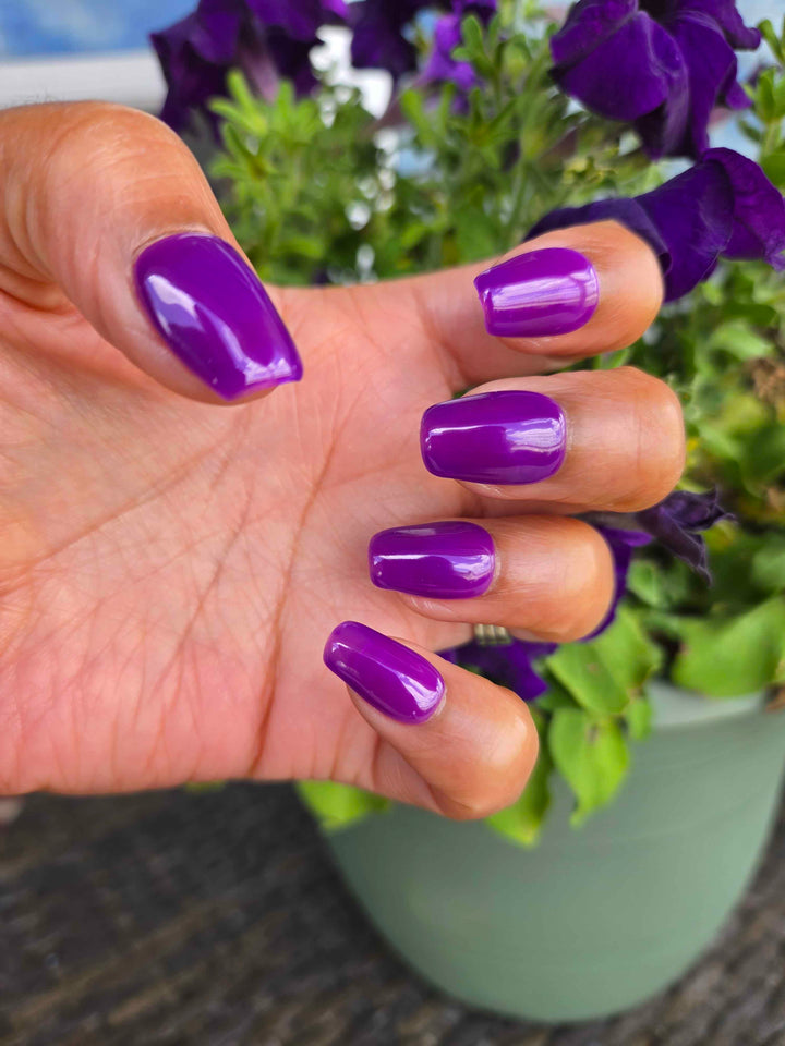 Violet Reef (Gel)