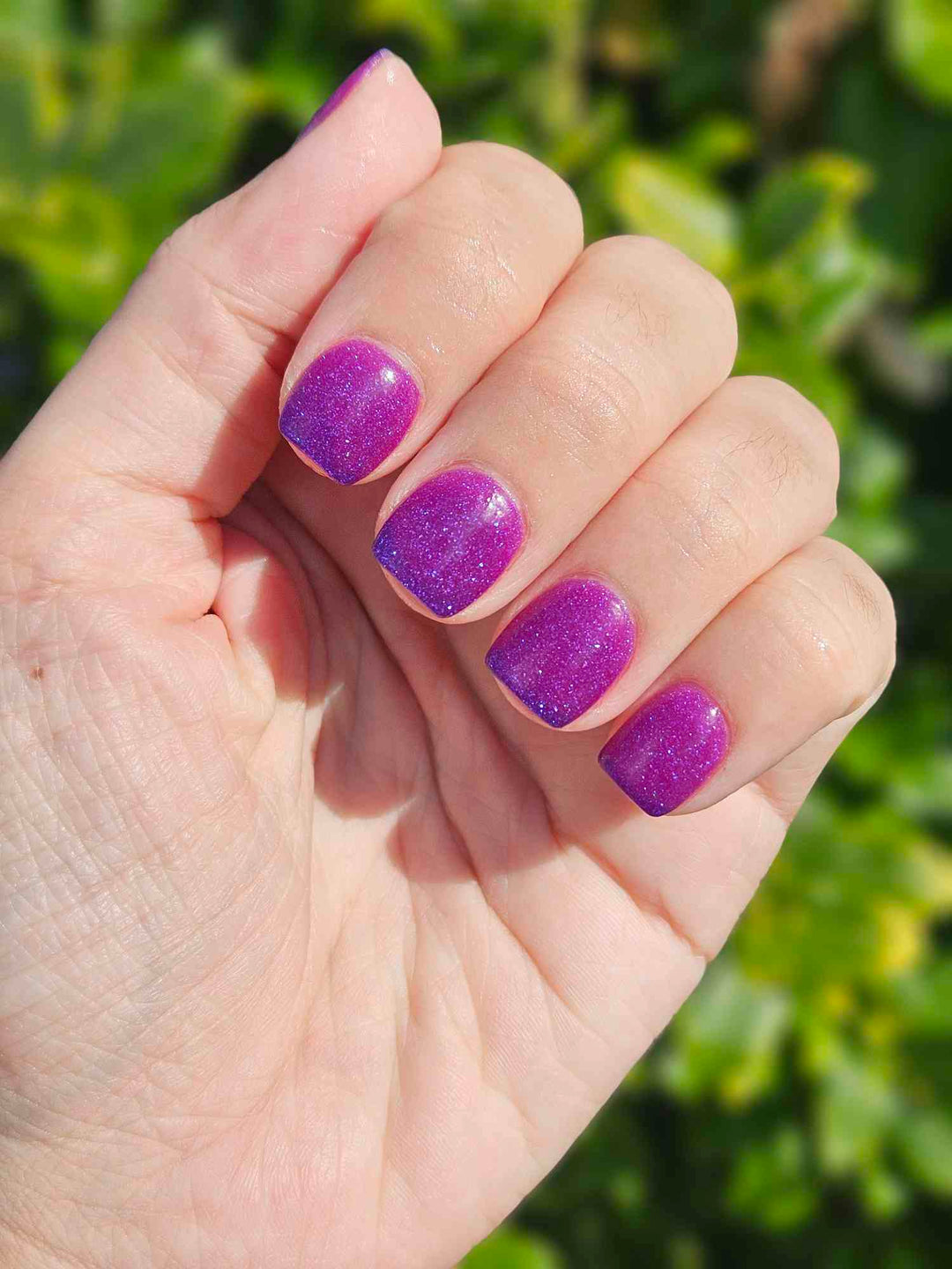 Enchanted Chill (Temp)