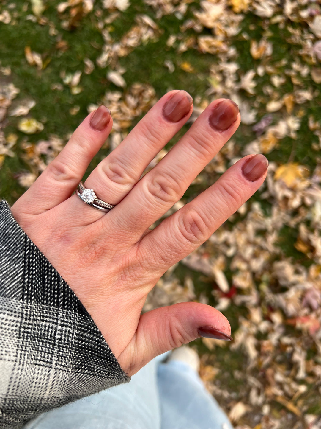 Sheer Brilliance (Gummy) (Gel)