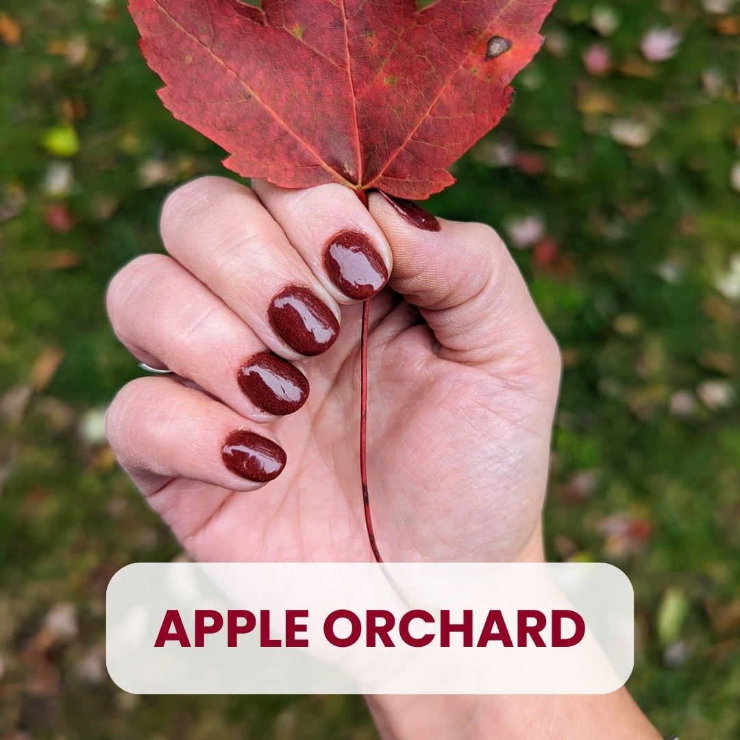 The Fall Favorites Kit