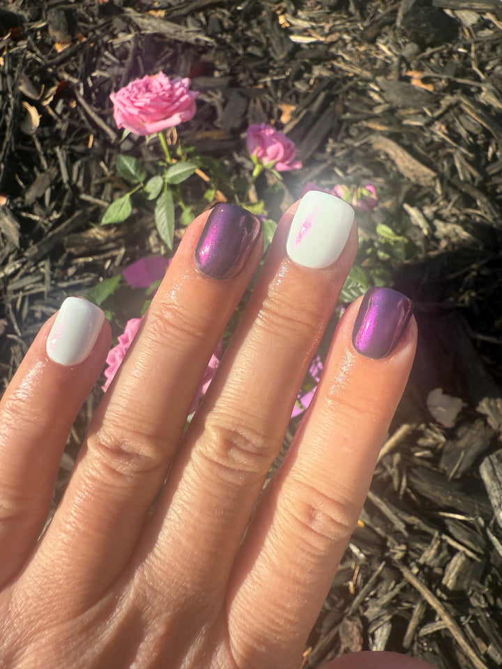 Snow Globe Dreams (Chrome)