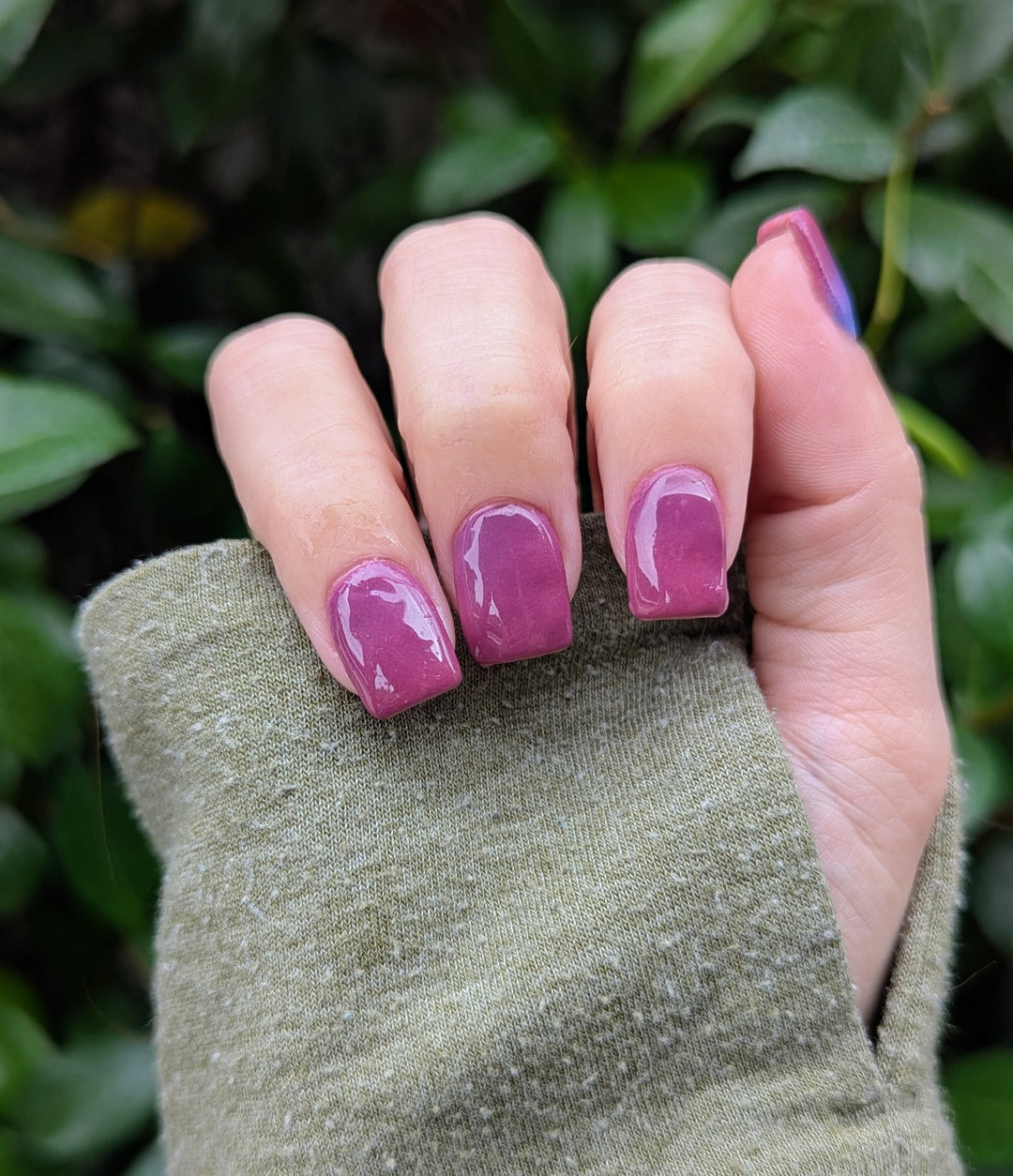 Midnight Snack (Temp)