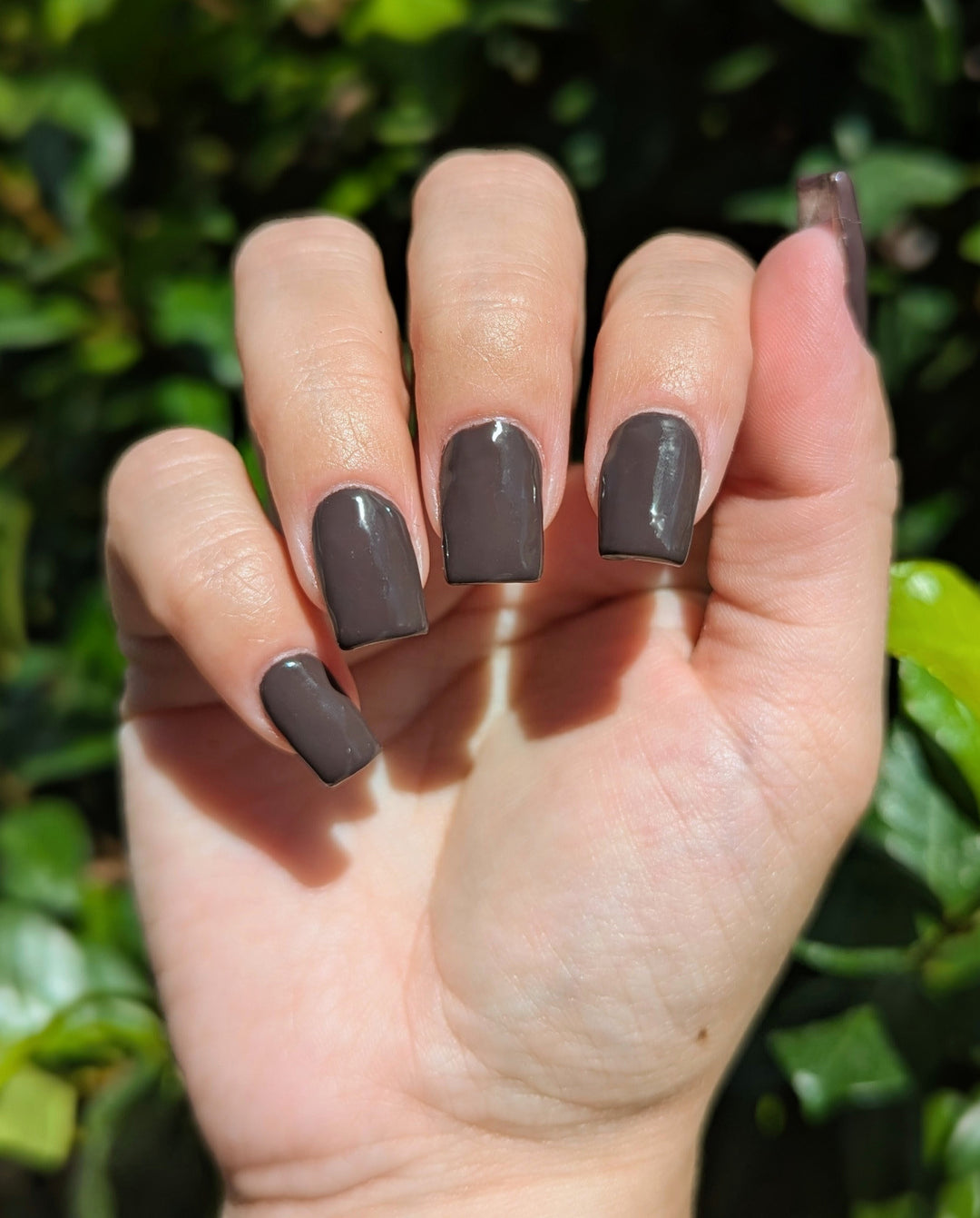 Fig & Fudge (All-In-One-Gel)