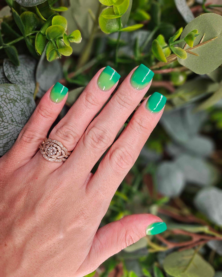 Rein-Dear Diary (Temp)