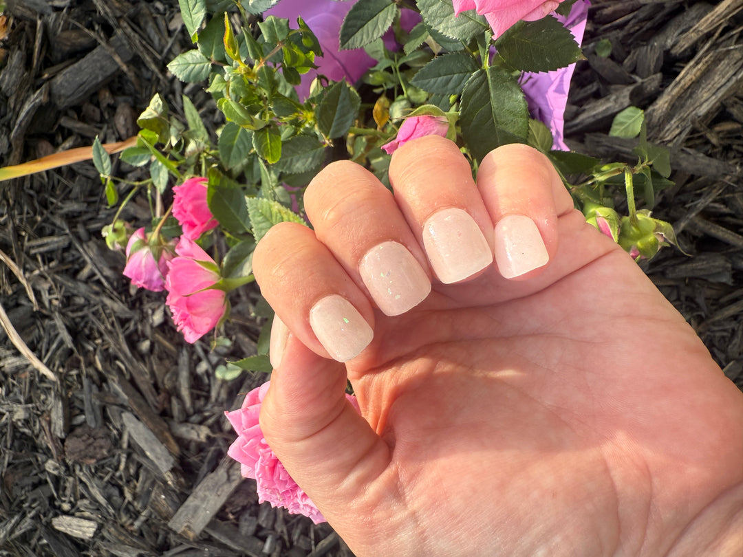 Snow Globe Dreams (Chrome)