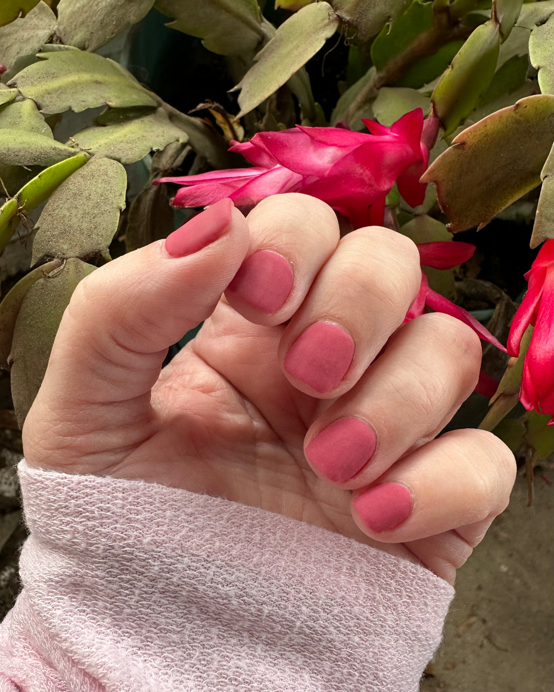 Signed, Sealed, Delivered (Temp)