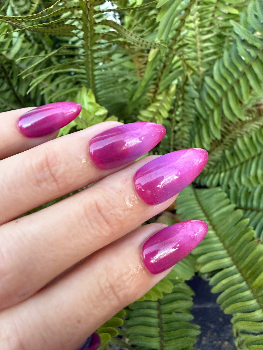 Reindeer Wishes (Temp)