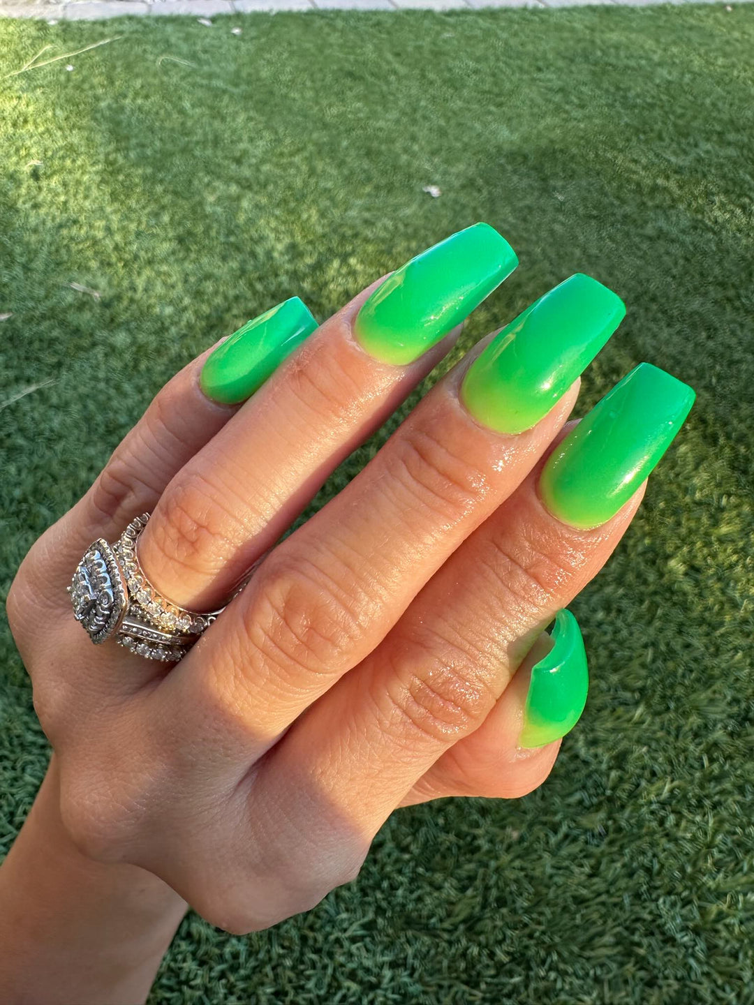 Rein-Dear Diary (Temp)