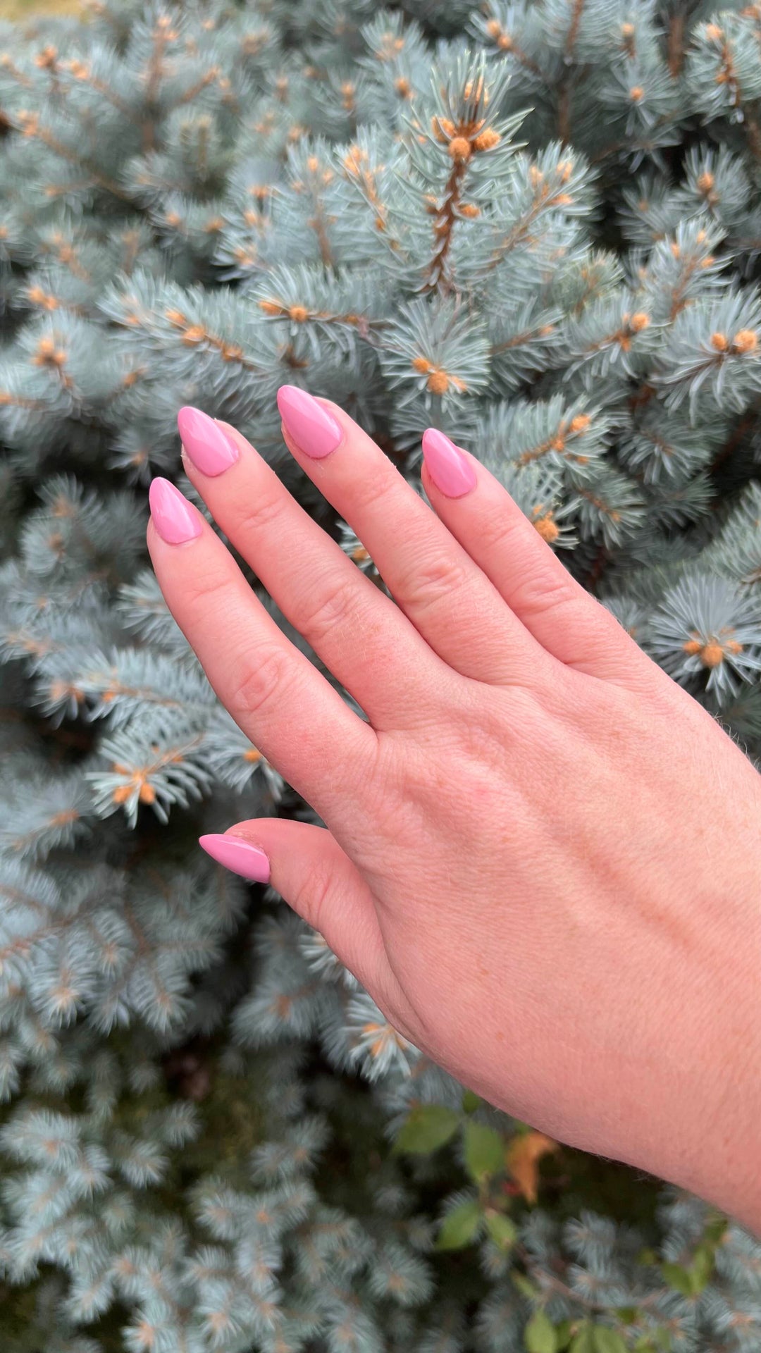 Prune It Up (All-In-One-Gel)