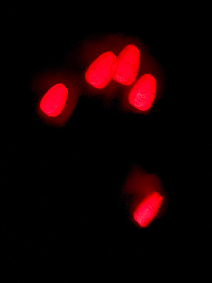 Haters Gonna Hate (Glow & Temp)