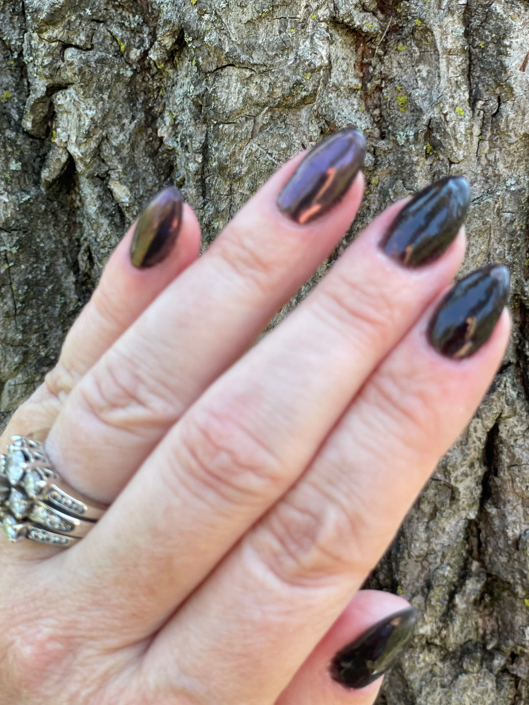 Adders Fork (Chrome)