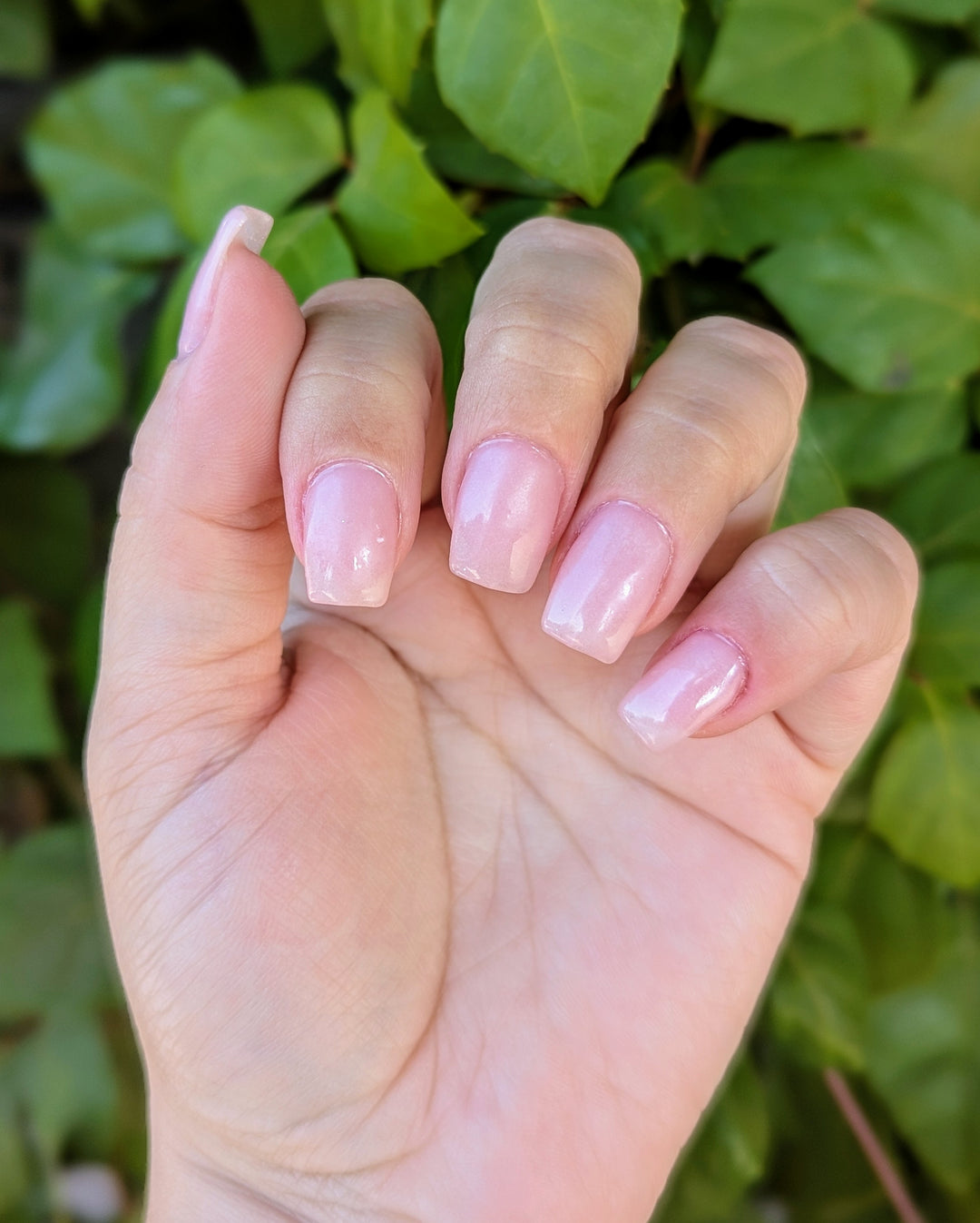 French Pink (Gel)