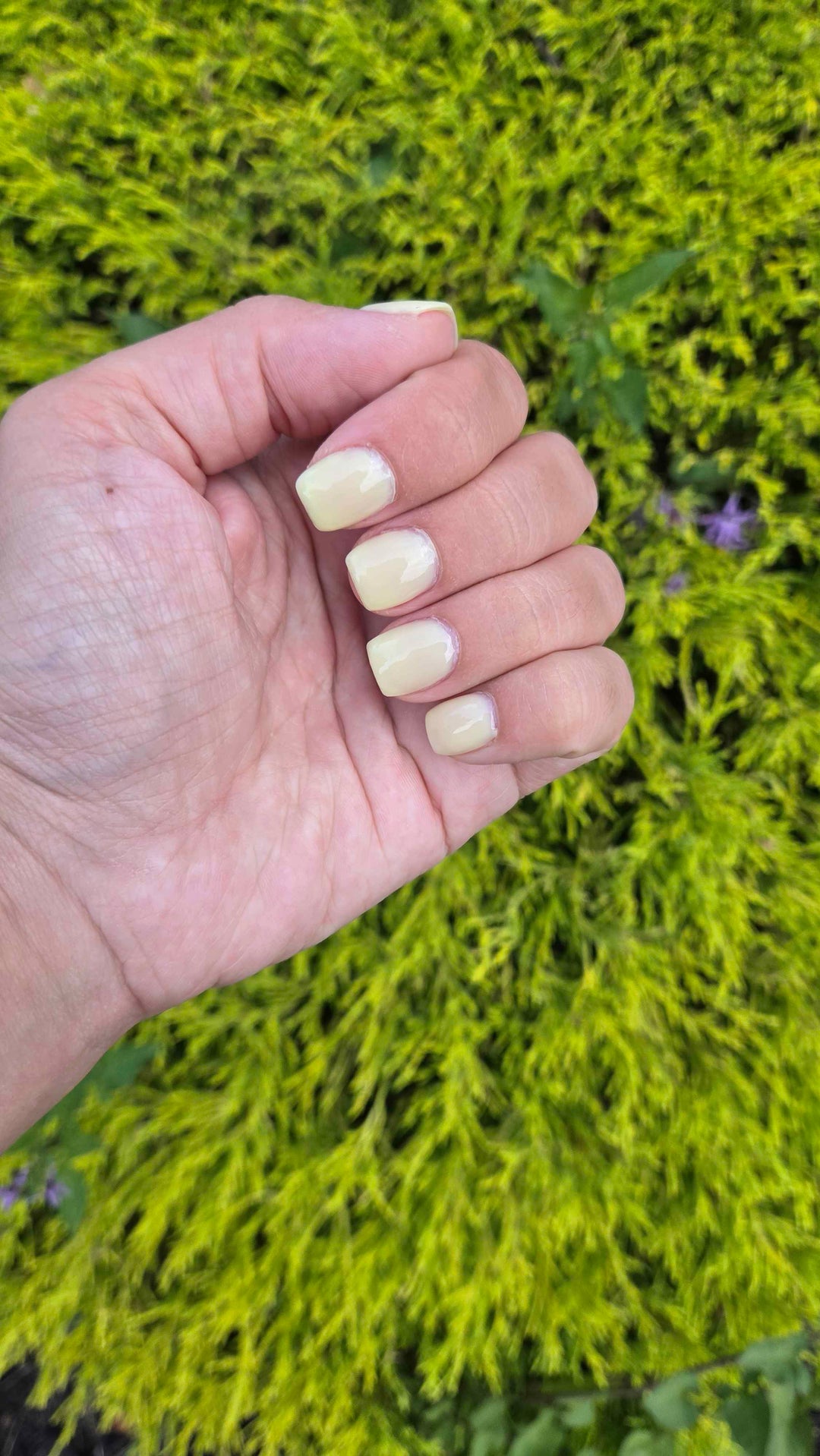 Lemon Drop (Builder Gel)