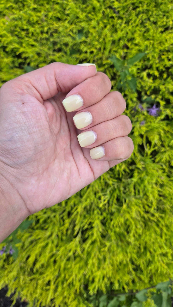 Lemon Drop (Builder Gel)