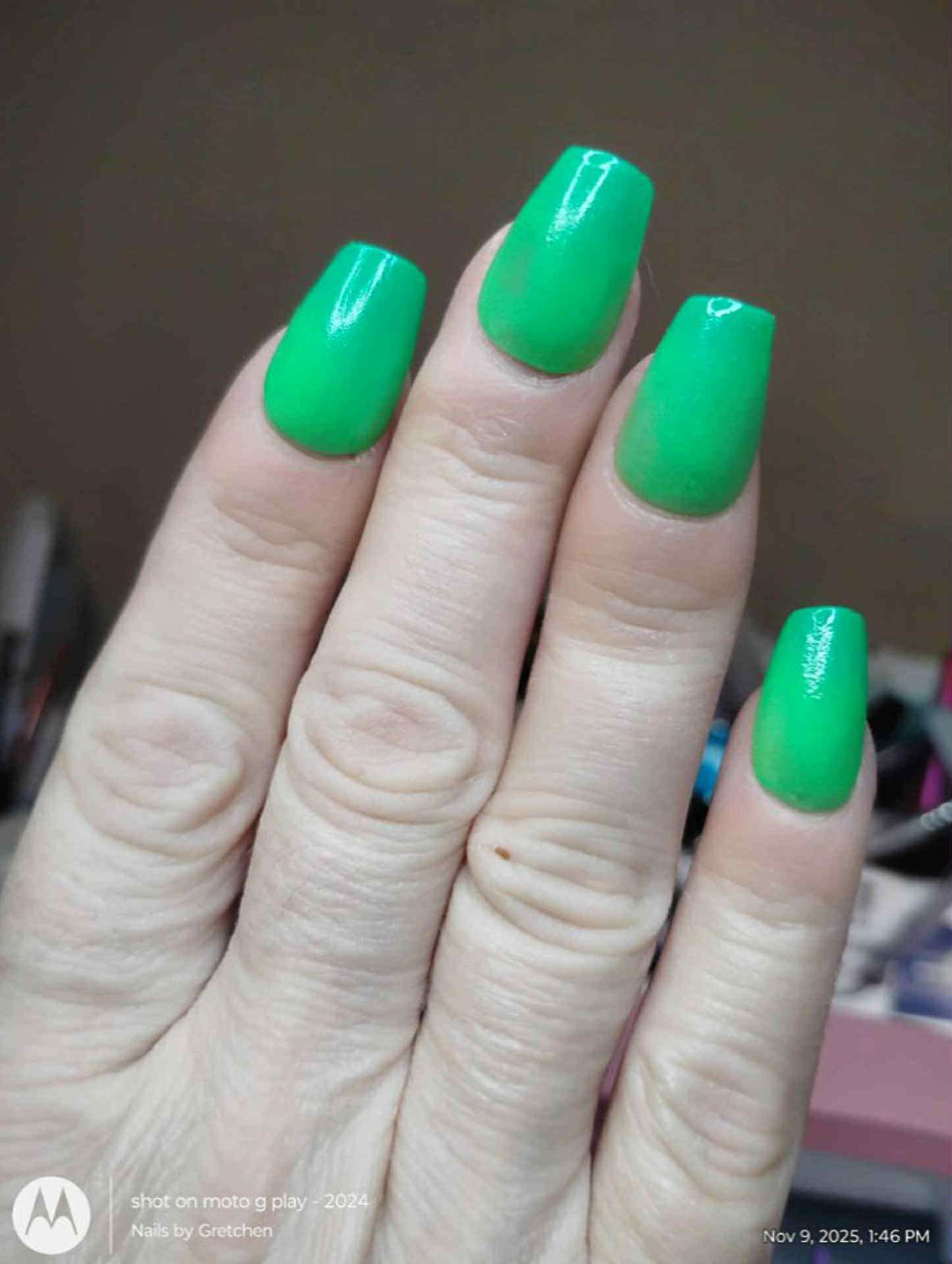 Rein-Dear Diary (Temp)