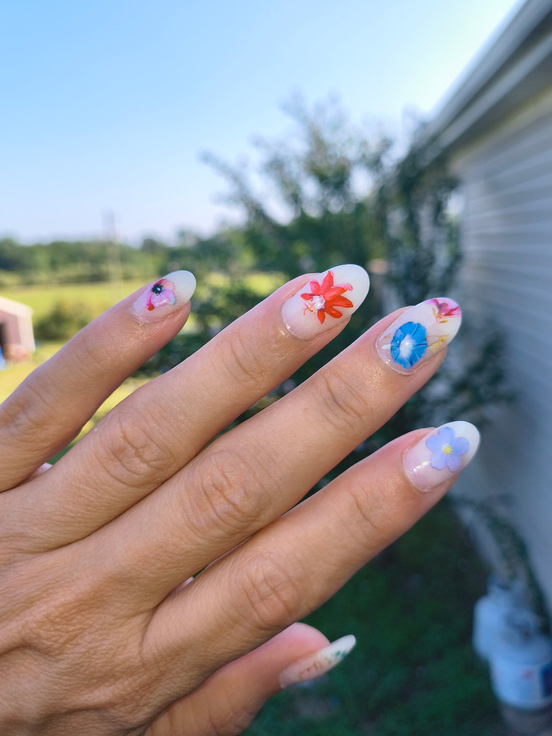 Transfer Foils Phase 3