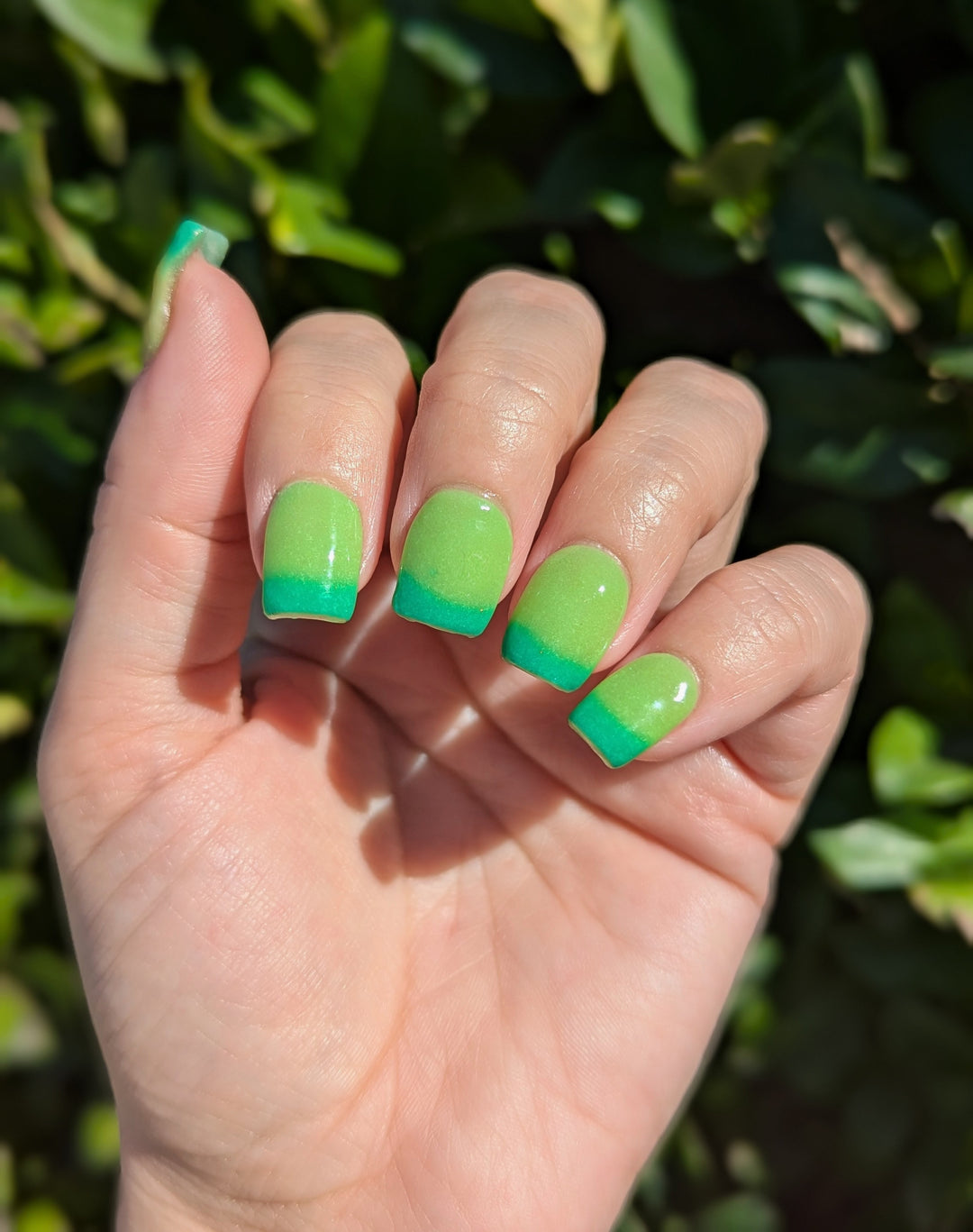 Last Call Clover (Temp, Glow)