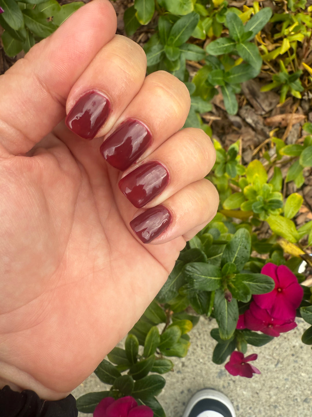 Burnt Blossom (Gel)
