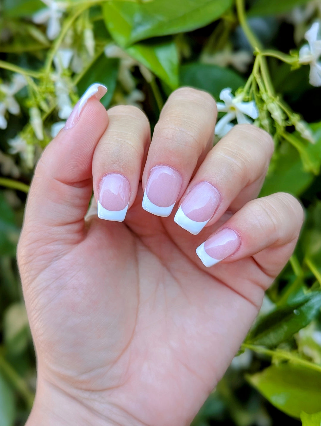 French Pink (Gel)