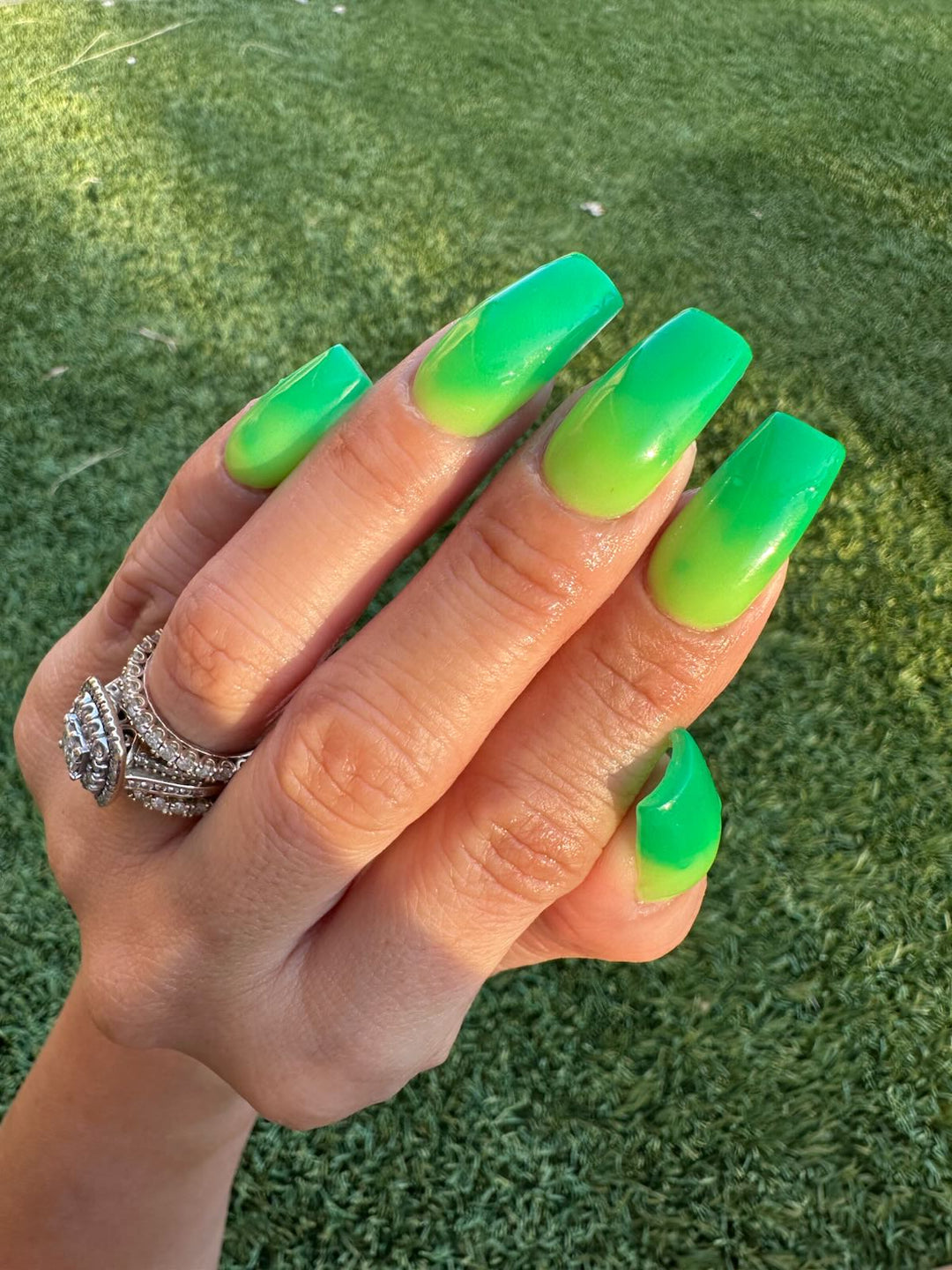 Rein-Dear Diary (Temp)